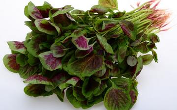 【莧菜】莧菜的功效與作用營(yíng)養(yǎng)價(jià)值_莧菜怎么做好吃_莧菜的做法大全 【莧菜】莧菜的功效與作用營(yíng)養(yǎng)價(jià)值_莧菜怎么做好吃_莧菜的做法大全