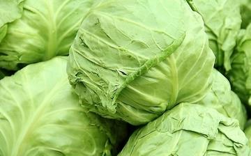 【圓白菜】圓白菜的營養價值_圓白菜怎么做好吃_圓白菜的做法大全 【圓白菜】圓白菜的營養價值_圓白菜怎么做好吃_圓白菜的做法大全