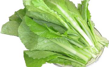 【小白菜】小白菜的營(yíng)養(yǎng)價(jià)值_小白菜怎么做好吃_小白菜的做法大全