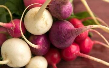 【蘿卜】蘿卜的營養價值_蘿卜怎么做好吃_蘿卜的做法大全_孕婦能吃蘿卜嗎
