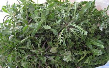 【薺菜】薺菜的功效與作用營養價值_薺菜怎么做好吃_薺菜的做法大全 【薺菜】薺菜的功效與作用營養價值_薺菜怎么做好吃_薺菜的做法大全