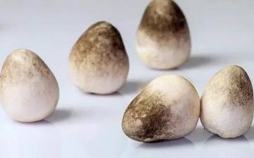 【草菇】草菇的功效與作用營(yíng)養(yǎng)價(jià)值_草菇怎么做好吃_草菇的做法大全