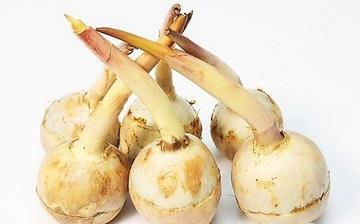 【慈菇】慈菇的功效與作用營養價值_慈菇怎么做好吃_慈菇的做法大全