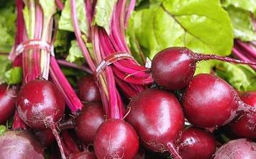 【甜菜】甜菜的功效與作用營(yíng)養(yǎng)價(jià)值_甜菜怎么做好吃_甜菜的做法大全 【甜菜】甜菜的功效與作用營(yíng)養(yǎng)價(jià)值_甜菜怎么做好吃_甜菜的做法大全