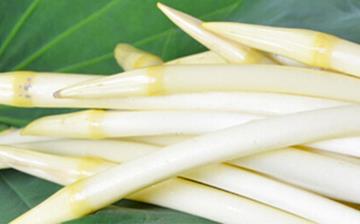 【藕帶】藕帶的功效與作用營養價值_藕帶怎么做好吃_藕帶的做法大全