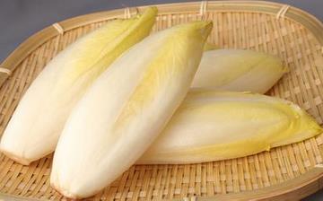 【菊苣】菊苣的營養價值_菊苣怎么做好吃_菊苣的做法大全
