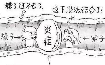 【不育】不育的原因_不育檢查什么項目_不孕不育能治嗎