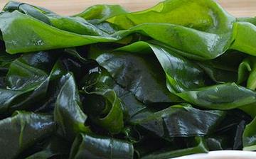 【海白菜】海白菜的營養價值_海白菜怎么做好吃_海白菜的做法大全