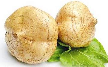 【沙葛】沙葛的功效與作用營養價值_沙葛怎么做好吃_沙葛的做法大全