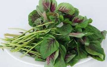 【紅莧菜】紅莧菜的營養價值_紅莧菜怎么做好吃_紅莧菜的做法大全