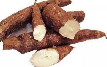 【木薯】木薯的營養價值_木薯怎么做好吃_木薯的做法大全