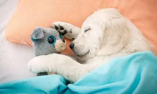 熬夜后如何保健養(yǎng)生?