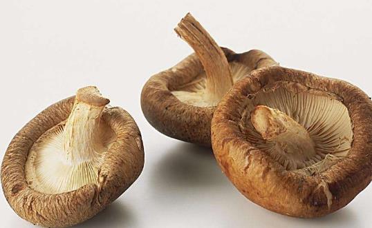 巧吃菇類(lèi)能清腸養(yǎng)胃