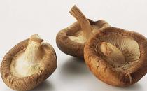 巧吃菇類能清腸養胃