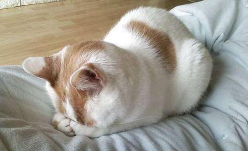 心臟病猝死的前兆有哪些？