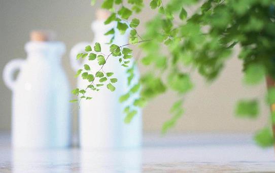 小技巧讓男人更愛(ài)你