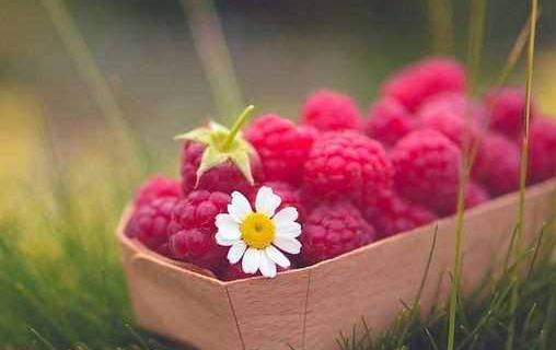 如何讓母親度過一個(gè)快樂的晚年？