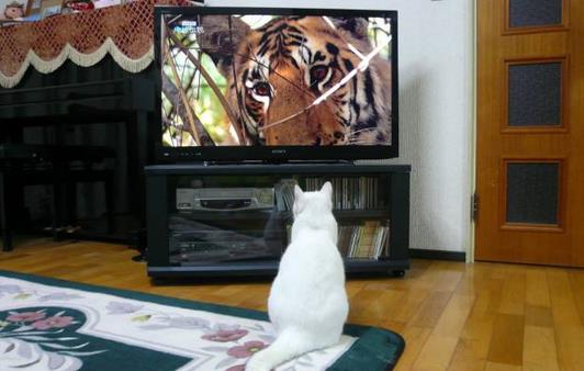 3個壞習慣竟比抽煙更致癌？