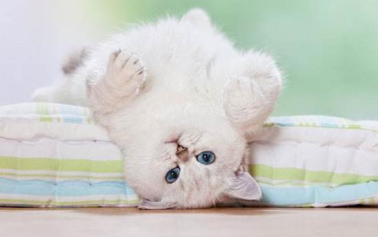 落枕是啥？落枕了怎么辦？