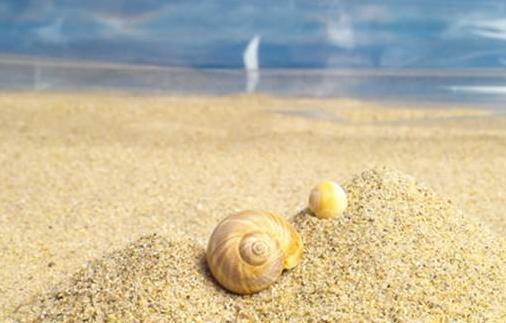 愛情問題幫你決定是否還要繼續