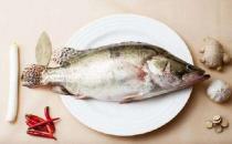 不同種類的魚該如何烹調？