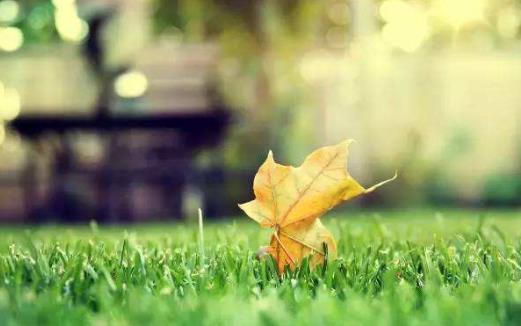 老公出軌 如何走出痛苦期？