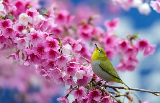 如何預防性病？