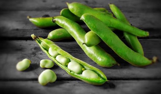 有毒食物吃的時(shí)候要謹(jǐn)慎！