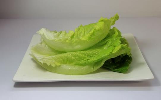 萵苣的營養價值與制作方法