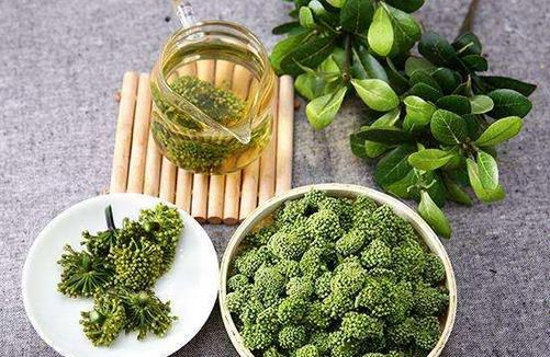 三七花泡水喝的功效