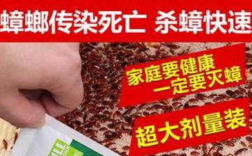 【蟑螂藥】蟑螂藥哪種好_滅蟑螂特效藥_怎樣用蟑螂藥殺死蟑螂方法 【蟑螂藥】蟑螂藥哪種好_滅蟑螂特效藥_怎樣用蟑螂藥殺死蟑螂方法