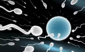 【射精】為什么射精很快_射精量是多少_體外射精_射精無力_如何控制射精 【射精】為什么射精很快_射精量是多少_體外射精_射精無力_如何控制射精