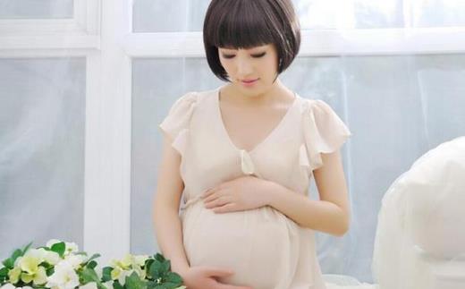 胎夢(mèng)夢(mèng)見(jiàn)狗什么意思