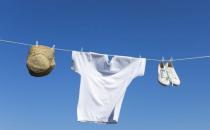 ?螨蟲的危害有哪些？教你如何趕走螨蟲