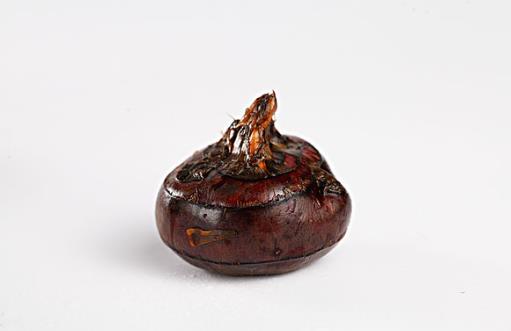 荸薺有什么營養(yǎng)價值 荸薺的去皮方法