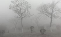 霧霾天應(yīng)該怎鍛煉