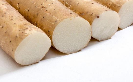 山藥怎么吃最有營養