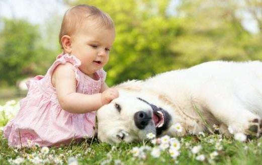 易上火？這些食物幫你降火！