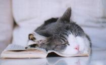 睡覺時別做這些傷身事！