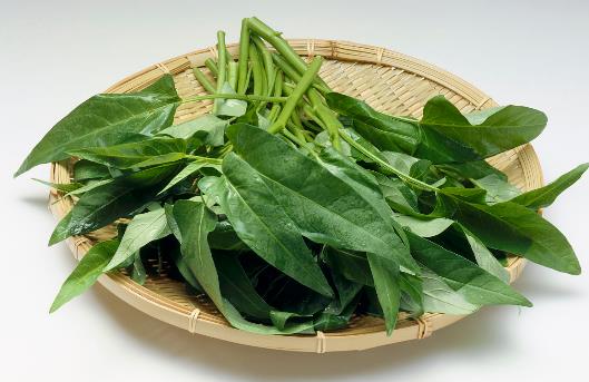 吃菠菜的功效竟然那么強大！