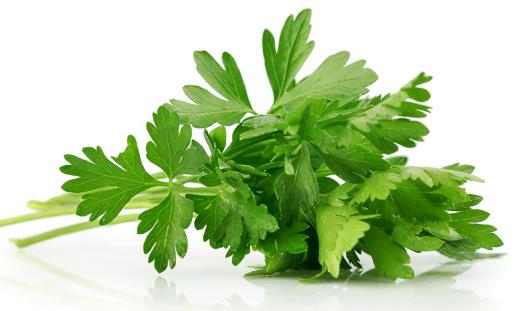 9種容易被丟掉的高營養食物