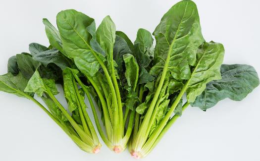菠菜不能和這9種食物一起吃