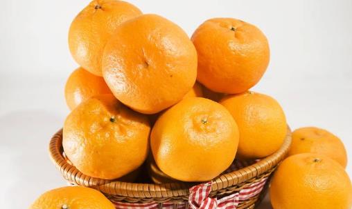 橘子橙子柚子有啥區別