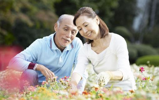 老人夏季養生需清淡飲食
