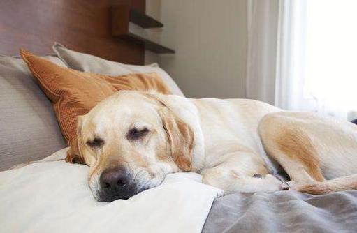 常熬夜要做到三個及時！