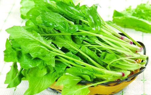 孕媽飲食很關(guān)鍵 孕期吃哪些食物會傷害胎兒