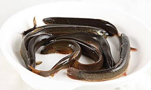 十大壯陽(yáng)補(bǔ)腎益精食物 男人必吃