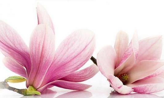 盤點婦科疾病會帶來的危害