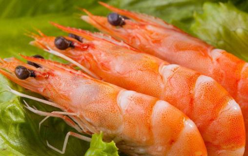 蝦肉藥用價值高 如何與食物搭配治療男性腎虛