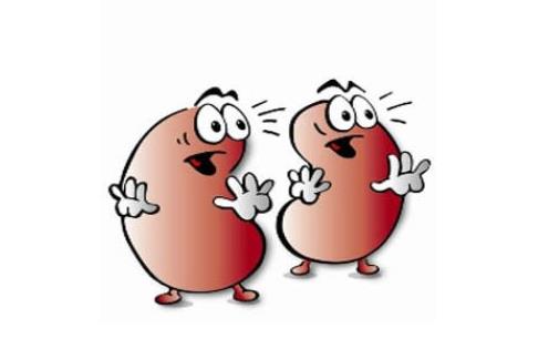 盤點腎病的十大早期癥狀